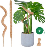 Flexible Plant Support for Climbing Plants - 60 cm Set of 2 - For Houseplants
