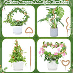 Flexible Plant Support for Climbing Plants - 60 cm Set of 2 - For Houseplants