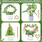 Flexible Plant Support for Climbing Plants - 60 cm Set of 2 - For Houseplants - Front View