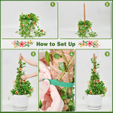 Flexible Plant Support for Climbing Plants - 60 cm Set of 2 - For Houseplants - Side View