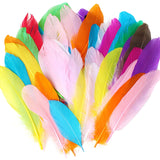 DIY Natural Colourful Craft Feathers (50 Count) One Size I