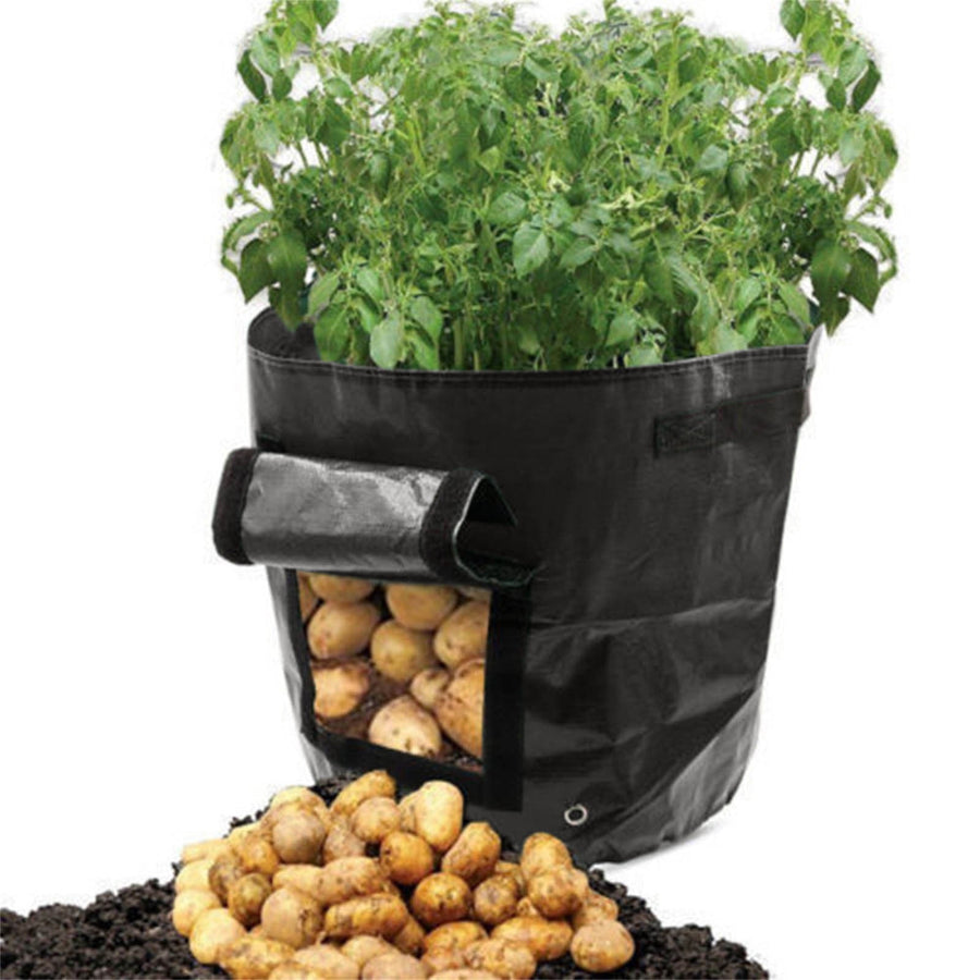 34x35cm Potato Grow Bag with Side Window & Handles 14" x 20" Orange#4