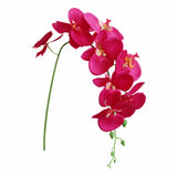 Flowers Faux Butterfly Orchid 1 Pc Real Double Branch Silk Flowers for Wedding Home Office Party Hotel Yard Decoration Restaurant Patio Festive Furnishing, 1 Artificial Flower White artificial flowers Red
