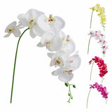 Flowers Faux Butterfly Orchid 1 Pc Real Double Branch Silk Flowers for Wedding Home Office Party Hotel Yard Decoration Restaurant Patio Festive Furnishing, 1 Artificial Flower White artificial flowers Red - Front View