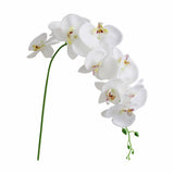 Flowers Faux Butterfly Orchid 1 Pc Real Double Branch Silk Flowers for Wedding Home Office Party Hotel Yard Decoration Restaurant Patio Festive Furnishing, 1 Artificial Flower artificial flowers White