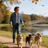 3 Dog Leash No Tangle, Heavy Duty Multiple Dog Lead Shock Absorbing Bungee, Triple Bungee Leash, Reflective Dog Leash Free Multi Pet Walking Rope with Detachable, Black Blue