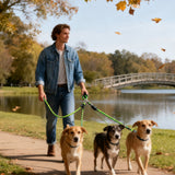 3 Dog Leash No Tangle, Heavy Duty Multiple Dog Lead Shock Absorbing Bungee, Triple Bungee Leash, Reflective Dog Leash Free Multi Pet Walking Rope with Detachable, Black Blue - Rear View