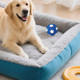 Soccer Ball Chew Toy Dog Toy Squeak Rubber Fun Suitable for Large and Medium Sized Dogs Dog Toy Squeak Rubber Fun Suitable for Large and Medium Sized Dogs (Blue, L) S Blue - Rear View