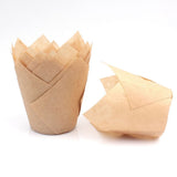 Tart Cup ! Cupcake Liners Cup Paper Tuli Baking Wrappe Case Cake Muffin Cup Box, Egg Tart Cup Promotion Include 50+1Pc Cup Holder G