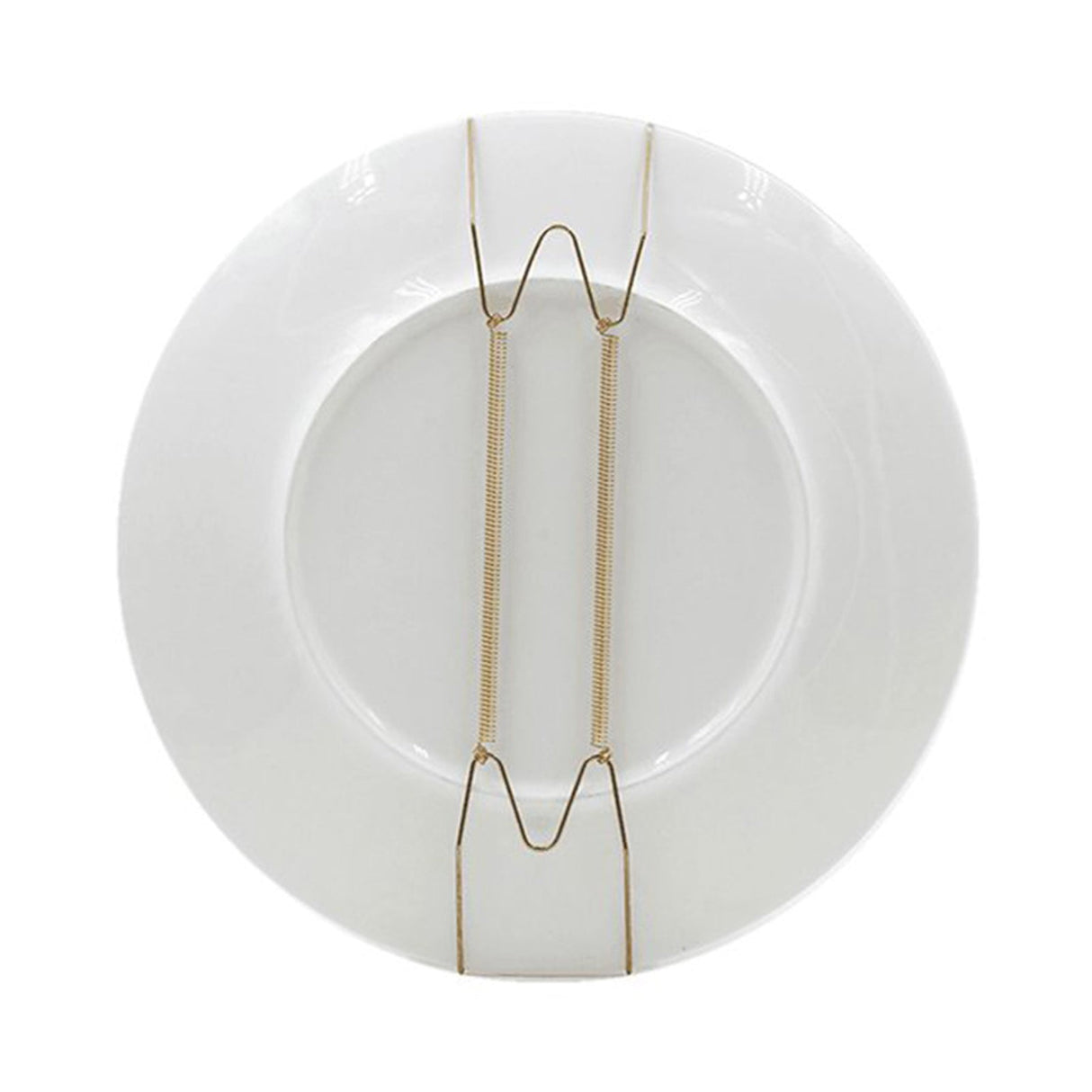 Hooks ! Dish Display Plate Hangers 10 Pack Stainless Steel Decorative Wire Plate Hanger Holders in Spring Hook Holder Hanging Wire for Decorative Plates and Art Gold