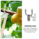Worgeous 6 Pcs Fruit Tree Support Fork Branches Ties Plant Stakes Braces