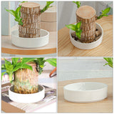 Worgeous Hydroponic Ceramic Tray Indoor Garden Pot Saucers Plant for Pots White
