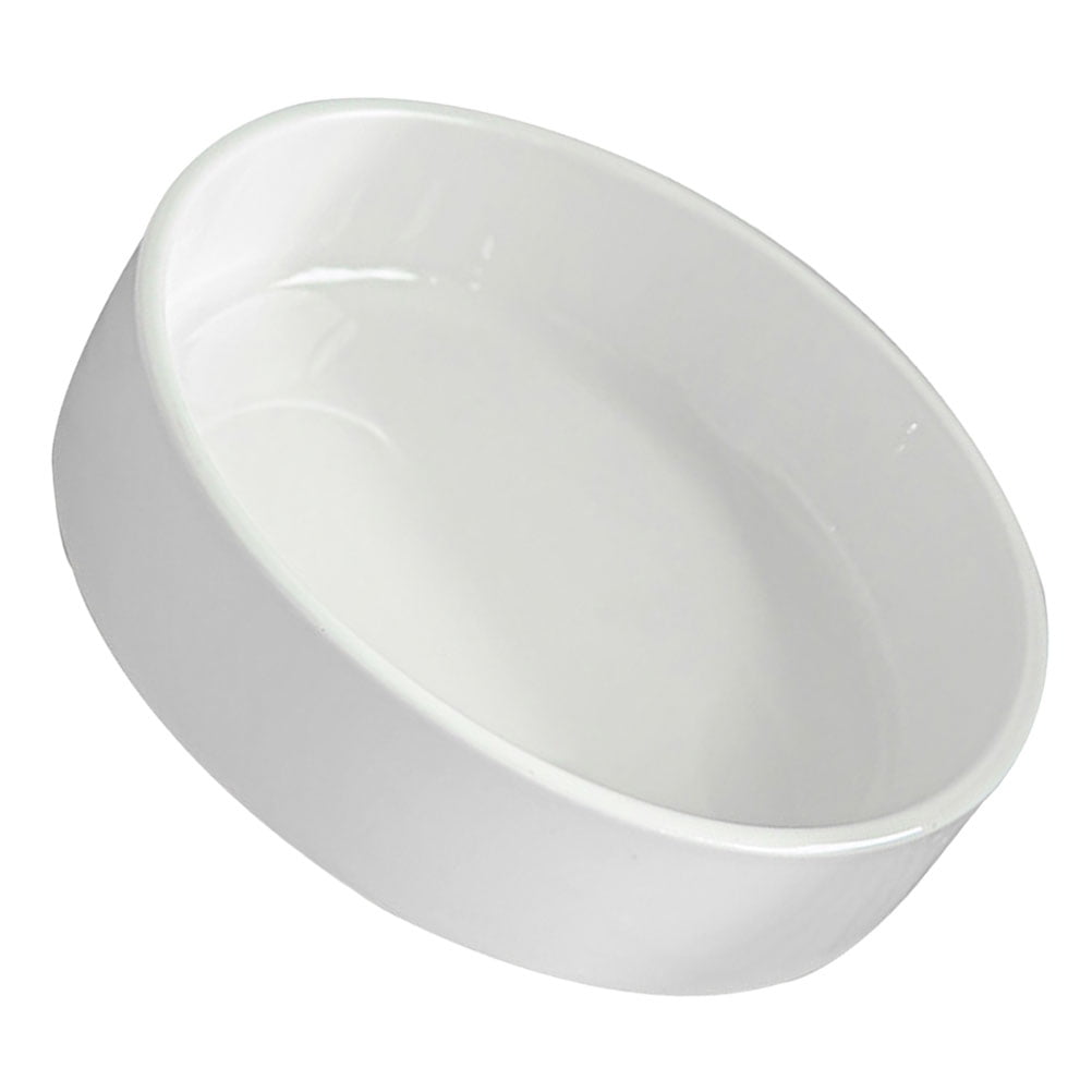 Worgeous Hydroponic Ceramic Tray Indoor Garden Pot Saucers Plant for Pots White