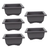 5Pcs Square Flowerpots for Study Room and Office in Black 17x17cm