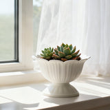 1.1L Thickened Round Bottom Plastic Flower Pot,18x13.5x18cm White Planter for Indoor and Outdoor Plants,Durable and Easy to Clean,Suitable for Various Decorative and Gardening Needs - Rear View