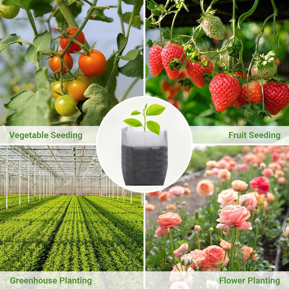Grow Bags - Gardening - Grow Pots - Vegetable Garden - Seedlings - Plant Bags - Non-woven Grow Bags - Growing Set - Breathable Fleece - Vegetable Garden Package - Combination Set - Sowing - Cuttings - Mix - Vegetable Garden - Vegetable Gardening - Sustain