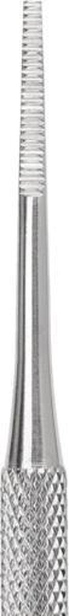 Toenail File - Nail Lifter - Ingrown - Dirt - Fungal Nail - Care - Stainless Steel - 1 piece