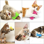 Catnip Plush Toy | Cat Toys | Catnip | Cat Toys | BLUE