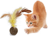 Catnip Ball with Feather | Fun & Tasty Cat Toy | Toys for Cats