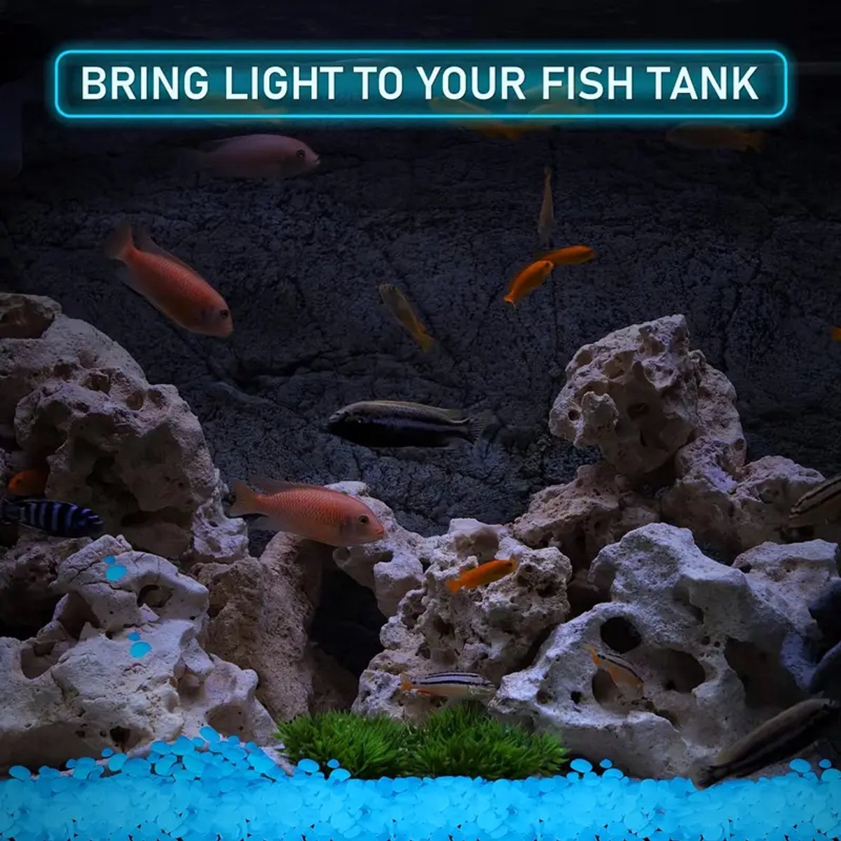 100x! Glow In The Dark Stones | Decorative Stones | Aquarium Pebbles | Garden Stones | Blue
