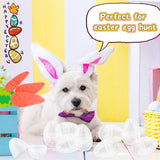 20Pcs Small Translucent Fillable Easter Egg,Plastic Clear Easter Eggs, 3.5 Inch Empty Eggs Bulk for Easter Theme Party Favor Basket Stuffers,Bulk Easter Toy for Filling Candy,Party Favor - Close-Up Angle