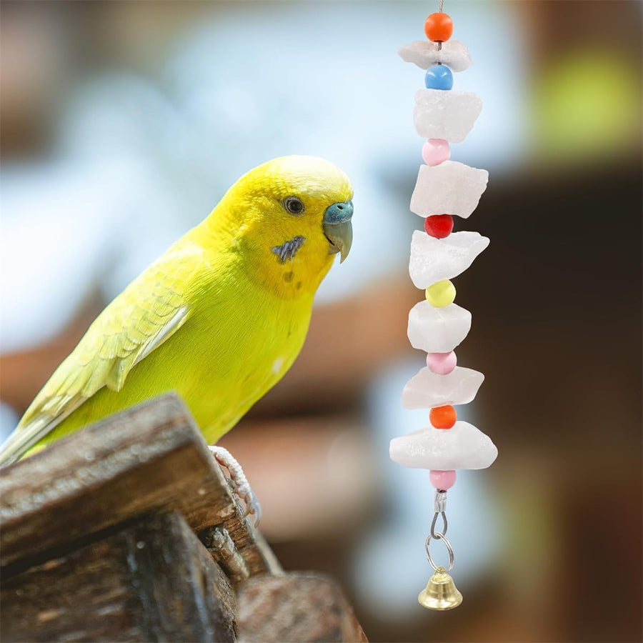 2Pcs Bird Cuttlebone Chew Toy,Natural Calcium Cuddle Bone Sharp Beaks Cage Toy,Large Parrot Chewing Calcium Cuttlebone with Bells,Calcium Stone Chew Toy Grinding Teeth for Parrot Hamster