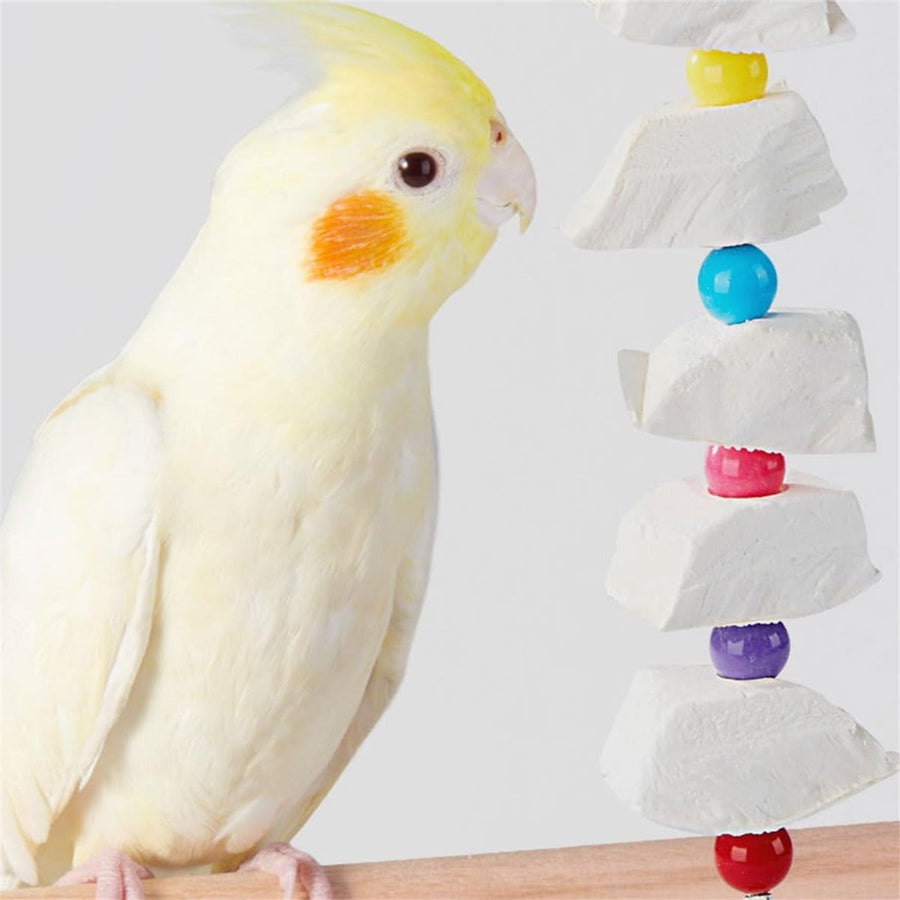 2Pcs Bird Cuttlebone Chew Toy,Natural Calcium Cuddle Bone Sharp Beaks Cage Toy,Large Parrot Chewing Calcium Cuttlebone with Bells,Calcium Stone Chew Toy Grinding Teeth for Parrot Hamster