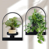Metal Hanging Flower Holder,Wall Plant Holders,Premium Picture Frame Flower Stand,Portable Indoor Plant Shelves for Bathroom,Living Room,2pcs - Top-Down View