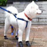 Pet Shoes, Candy Colors Anti-Slip Waterproof Rubber Rain Shoes Boots Paw Cover, Dog Boots & Paw Protectors, for Small Medium Dogs M Black