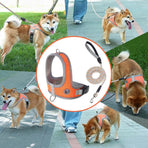 Dog Harness and Leash, No Pull Saddle Style Pet Harness, Breathable Mesh Adjustable Reflective Dog Vest, Dog Leash, for Dogs and Cat Medium Small Harness Orange,XS
