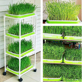 BPA Free Hydroponics Soilless Seeds Sprouter Microgreen Seed Sprouter Trays Seed Germination Double Tier Grow Trays with Lid 1PCS-Seed Sprouter Tray - Close-Up Angle