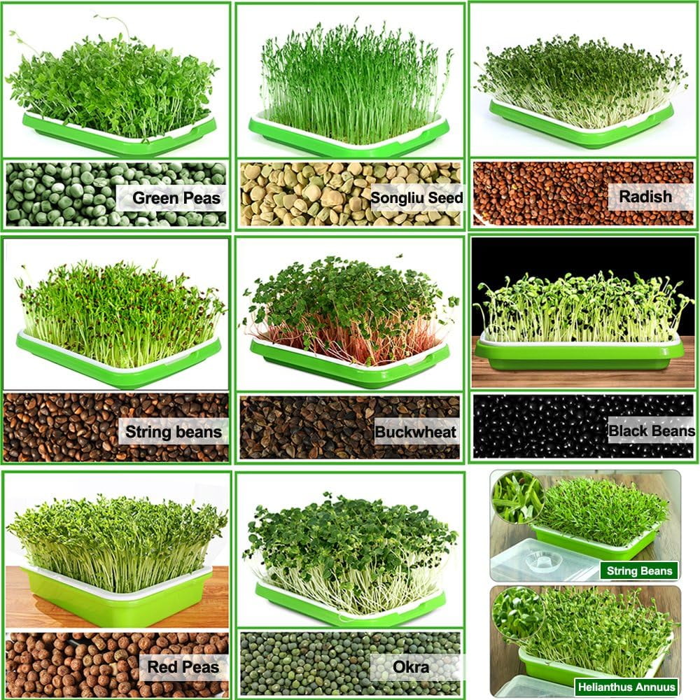 BPA Free Hydroponics Soilless Seeds Sprouter Microgreen Seed Sprouter Trays Seed Germination Double Tier Grow Trays with Lid 1PCS-Seed Sprouter Tray+Lid