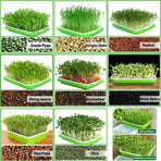 BPA Free Hydroponics Soilless Seeds Sprouter Microgreen Seed Sprouter Trays Seed Germination Double Tier Grow Trays with Lid 5PCS-Seed Sprouter Tray