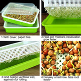 BPA Free Hydroponics Soilless Seeds Sprouter Microgreen Seed Sprouter Trays Seed Germination Double Tier Grow Trays with Lid 5PCS-Seed Sprouter Tray+Lid - Front View