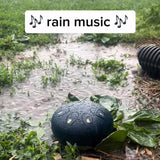 Rain Drum for Outside Garden,Chakra Drum for Rain Outdoor, Drum Rain Chime Waterproof,Rain Drum for Garden Instrument, chakra Drum 6 Inches 8 Notes, Chakra Rain Drum Outdoor A03