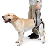 Dog Sling for Large Dogs Hind Leg Adjustable Dog Lift Harnesses For Walking/Climbing Pet Auxiliary Slings for Elderly, Disabled Dogs XL