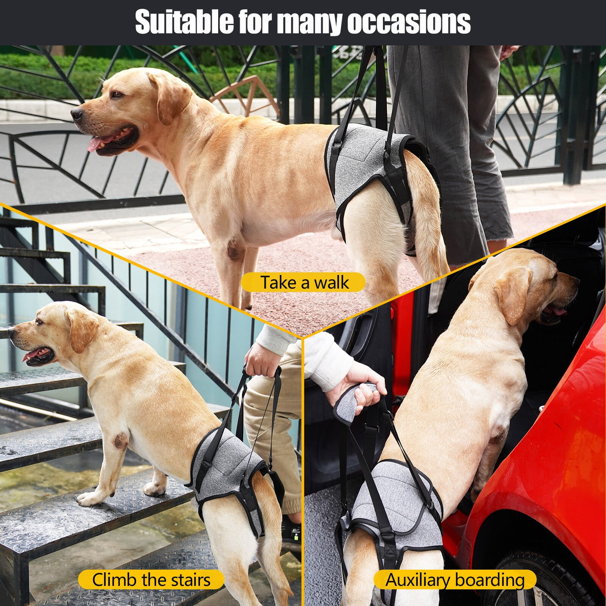 Dog Sling for Large Dogs Hind Leg Adjustable Dog Lift Harnesses For Walking/Climbing Pet Auxiliary Slings for Elderly, Disabled Dogs XL