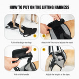 Dog Sling for Large Dogs Hind Leg Adjustable Dog Lift Harnesses For Walking/Climbing Pet Auxiliary Slings for Elderly, Disabled Dogs XL - Close-Up Angle