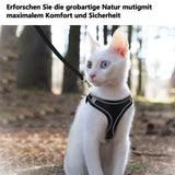 Escape-Proof Cat Harness & Leash Set for Cats, Kittens, Dogs, Puppies - XXS Size - Top-Down View