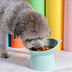Raised Cat Food Bowl 15 Degrees Elevated Cat Bowls Anti Vomiting Tilted Raised Cat Food Bowl Plastic Slanted Stand Bowls for Pet Feeder Green