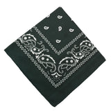 22 inch Cotton Paisley Bandana Multi Colored Set Cowboy Bandana Head Scarf Double-sided for Men & Women Mint Green