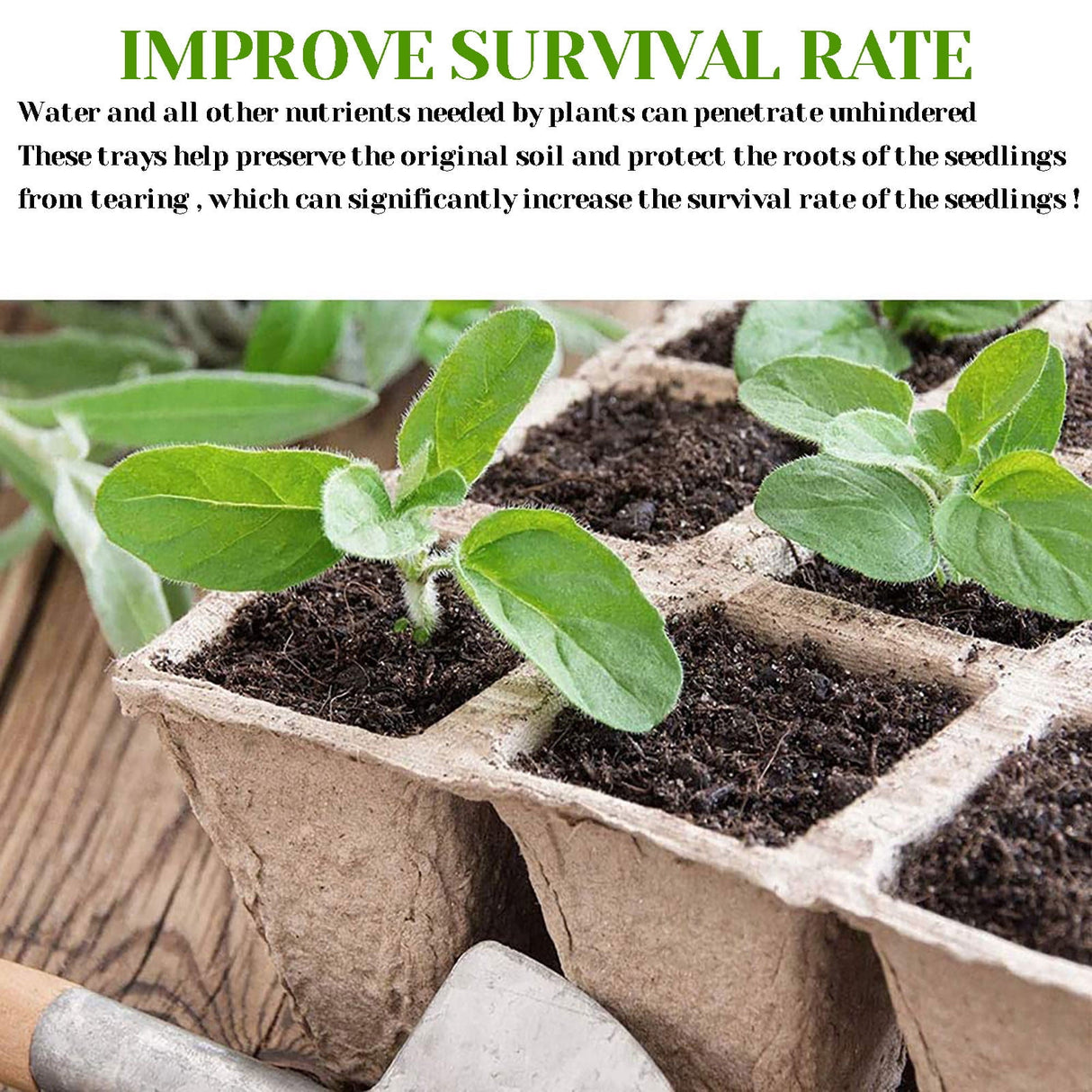 30 Cells Peat Pots Seed Starter Trays 5 Packs Biodegradable Seedling Pots Germination Trays Organic Plant Starter Kit A