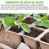 30 Cells Peat Pots Seed Starter Trays 5 Packs Biodegradable Seedling Pots Germination Trays Organic Plant Starter Kit A - Rear View