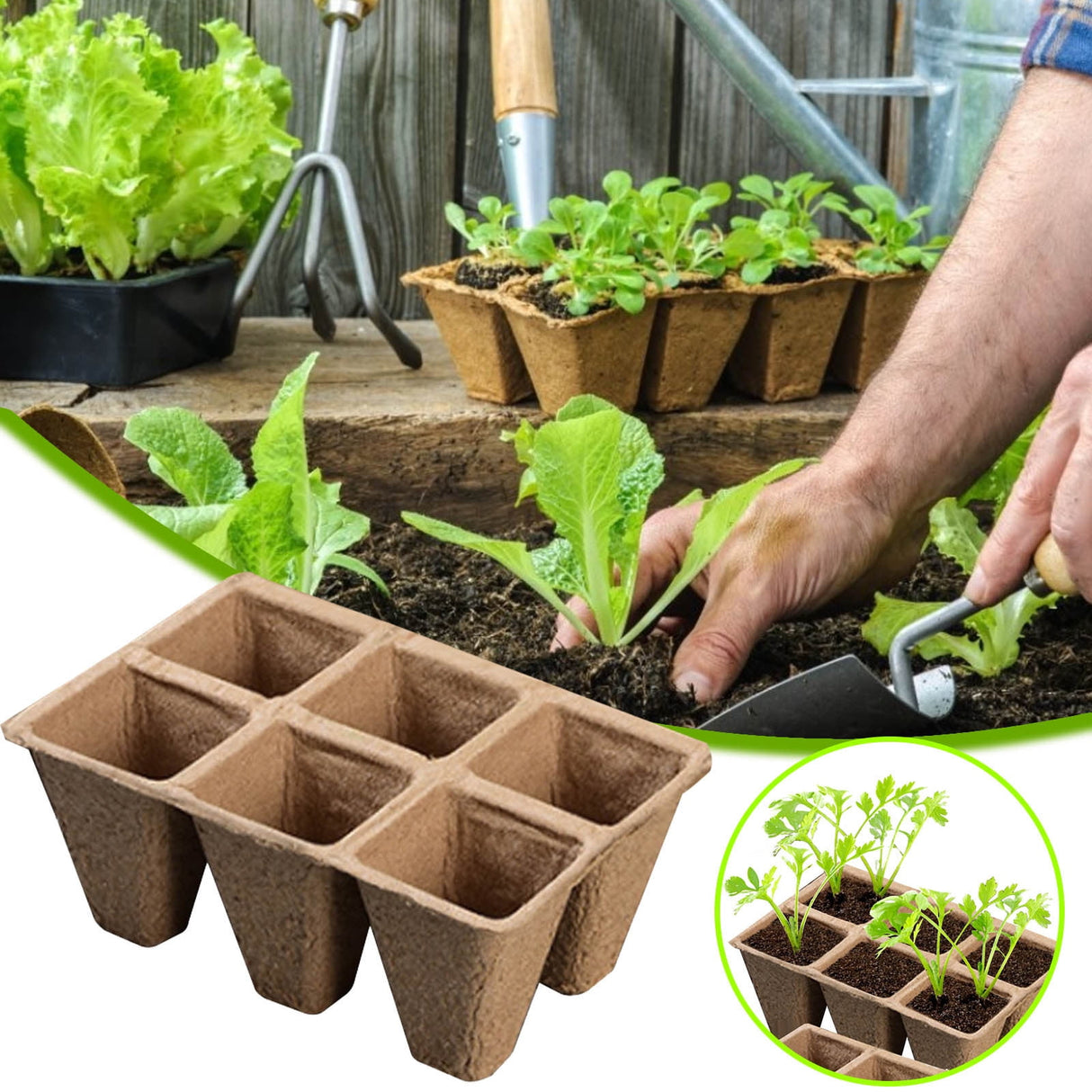 30 Cells Peat Pots Seed Starter Trays 5 Packs Biodegradable Seedling Pots Germination Trays Organic Plant Starter Kit C