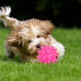 Squeaky Fetch Spike Balls Toys for Pet Small Dogs Puppy Rubber 2 Pack Bright Colors Chew Teething Toys Pet Squeaky Chewing Balls (Random) Multicolor - Rear View