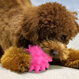 Squeaky Fetch Spike Balls Toys for Pet Small Dogs Puppy Rubber 2 Pack Bright Colors Chew Teething Toys Pet Squeaky Chewing Balls (Random) Multicolor - Close-Up Angle