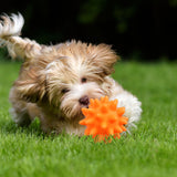 Squeaky Fetch Spike Balls Toys for Pet Small Dogs Puppy Rubber 2 Pack Bright Colors Chew Teething Toys Pet Squeaky Chewing Balls (Random) Multicolor - Low Angle