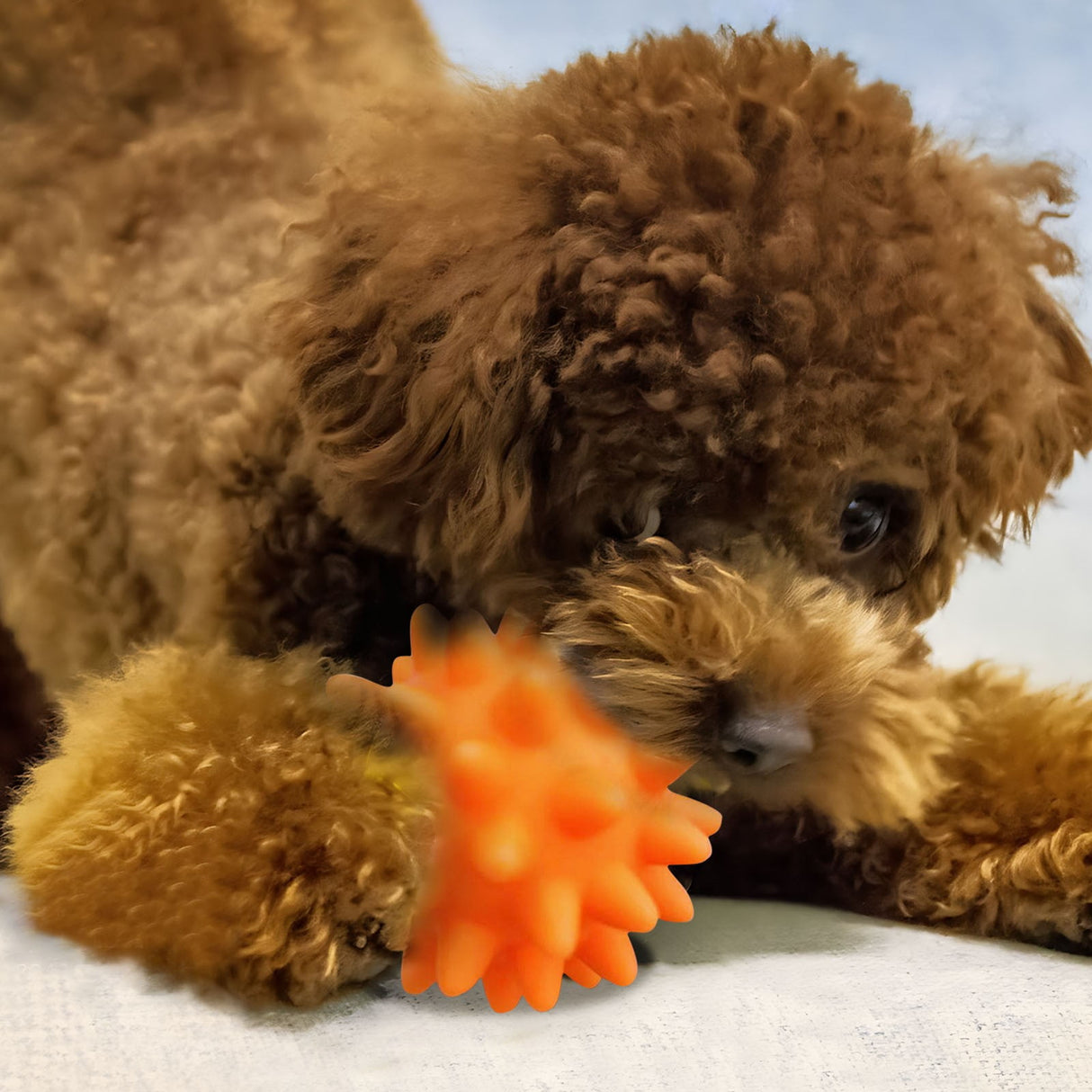 Squeaky Fetch Spike Balls Toys for Pet Small Dogs Puppy Rubber 2 Pack Bright Colors Chew Teething Toys Pet Squeaky Chewing Balls (Random) Multicolor