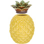Yellow Pineapple Tea Cookie Jar Storage Container for Fruit and Travel Kitchen Use