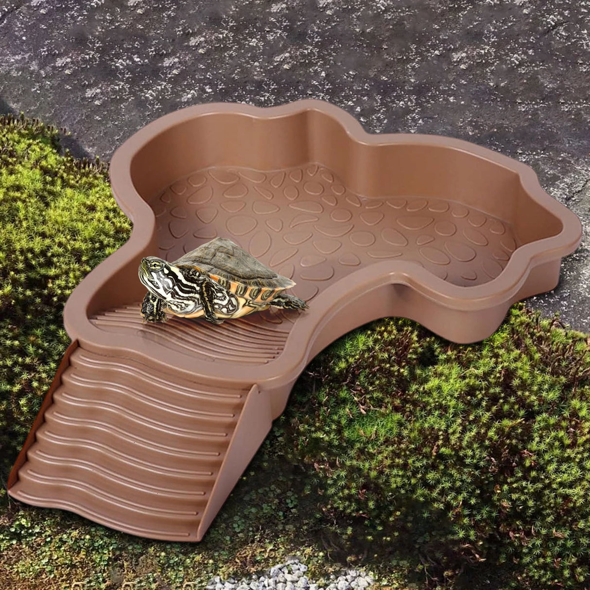 Reptile Bathing Pool Turtle Bath Amphibians Accessories with Ramp Tortoise Feeder Lizards Habitat for Tortoise Scorpion Snake A